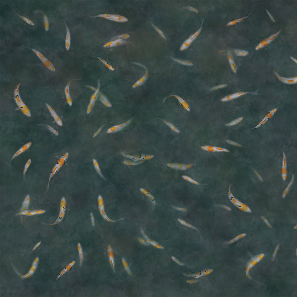 Koi Fish Wrapping Sheets
